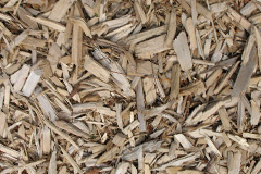 biomass boilers Wotter